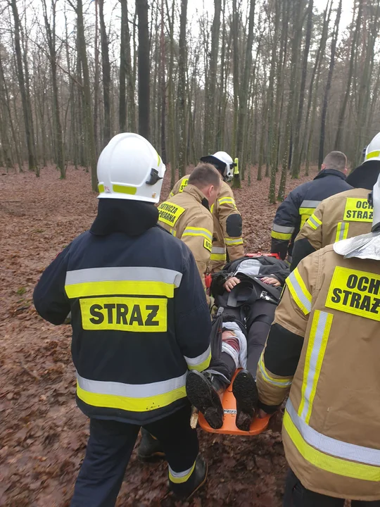 Powiat łukowski: Ranna w trakcie wycinki drzewa potrzebowała pomocy