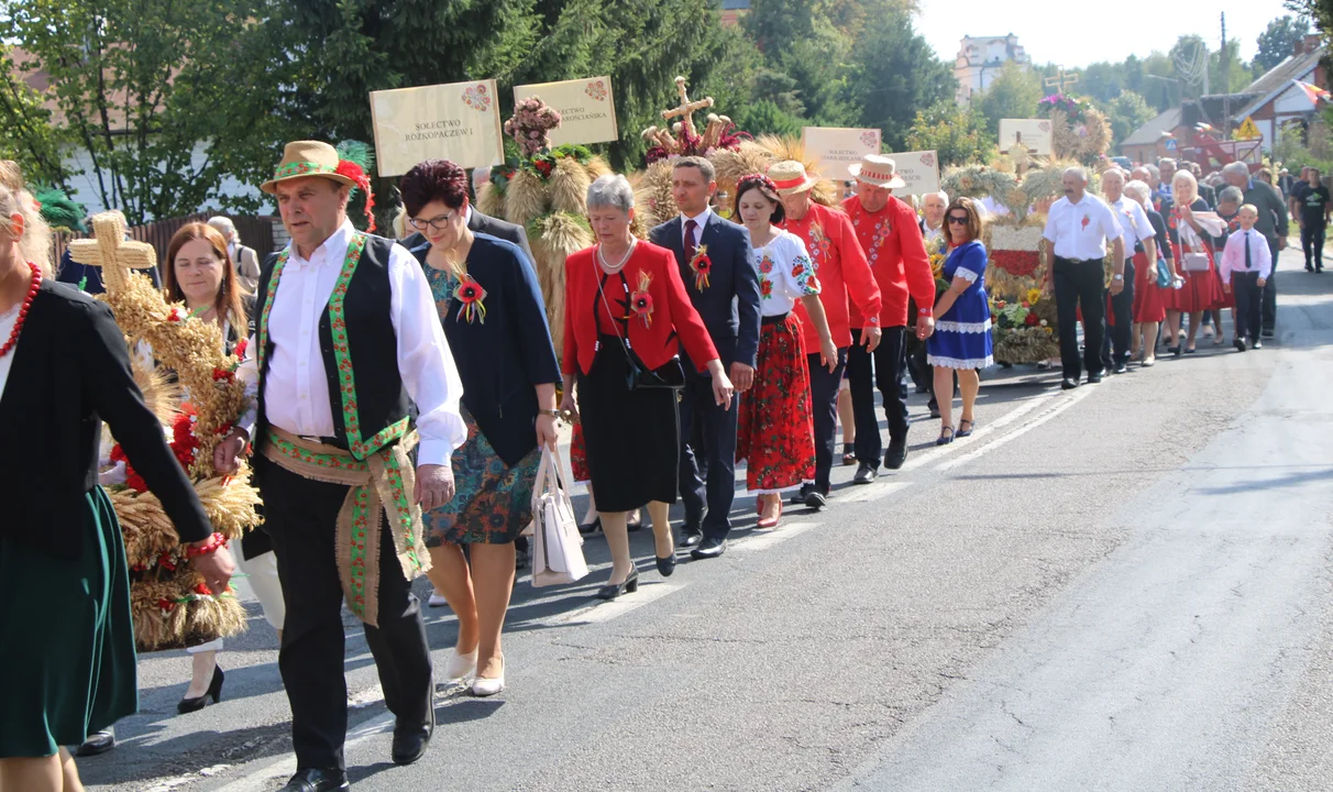 Korowód w Ostrowie Lubelskim