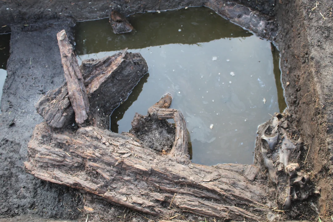 Archeolodzy kontynuują prace na Lubelszczyźnie. Tym razem prowadzili wykopaliska w rejonie dawnej fosy