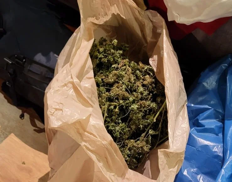 Spore ilości narkotyków pod Lublinem. Areszt dla 29-latka