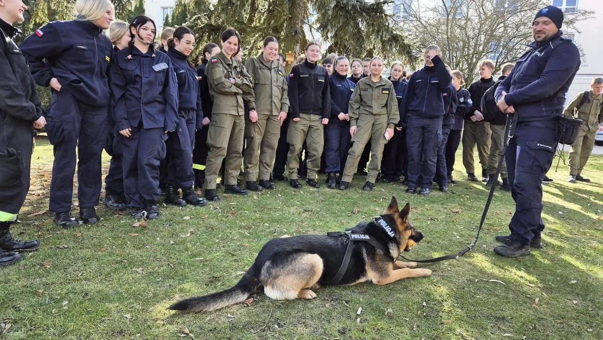 Szkolenie psów policyjnych w Radoryżu Smolanym