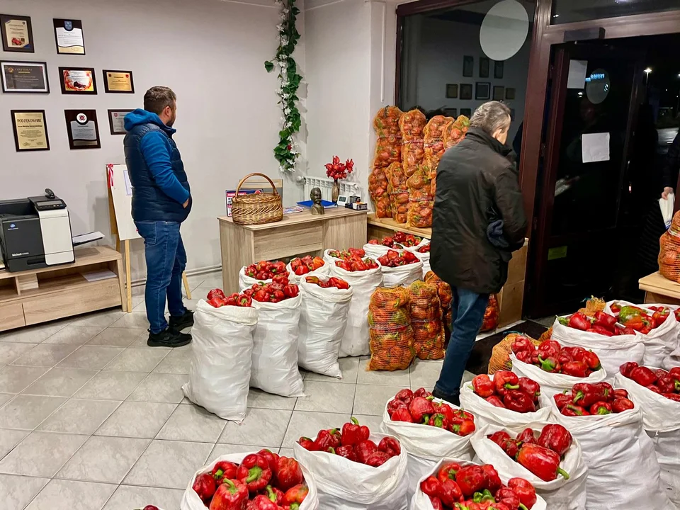 Darnowa papryka u Romanowskiego