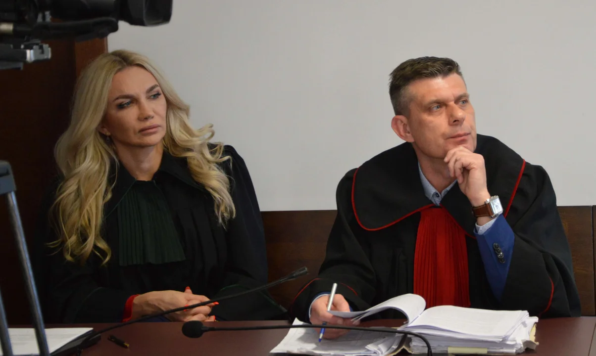 Wyrok w sprawie gehenny tygrysów na granicy. Fundacja Viva i prokurator chcieli kar dla lekarzy weterynarii