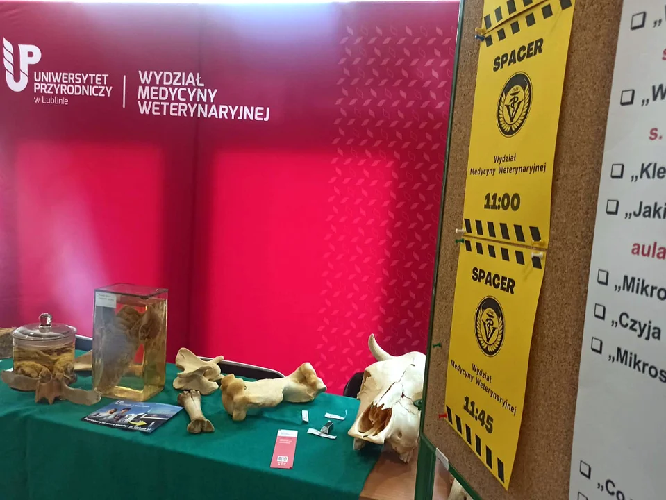 Dni Otwarte Uniwersytetu Przyrodniczego  i leśne wagary uczniów z „Chopina”