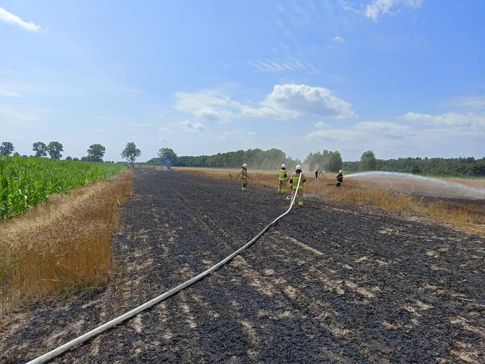 Pożar zboża gmina Serokomla