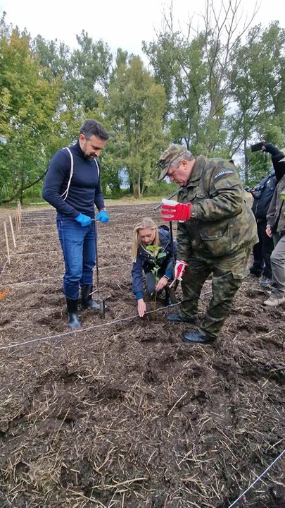 Sprzątanie w ramach akcji "Czysta Polska"