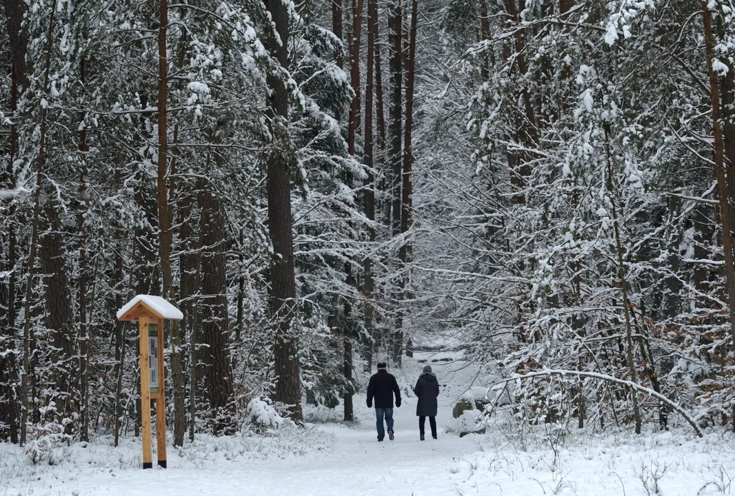 Roztoczański Park Narodowy apeluje o rozsądek (foto) - Zdjęcie główne