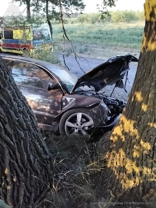 Powiat radzyński: Samochód uderzył w drzewo. Kierująca chciała wyminąć sarnę