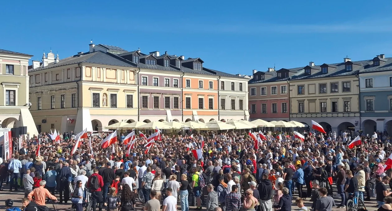 Braun w Zamościu
