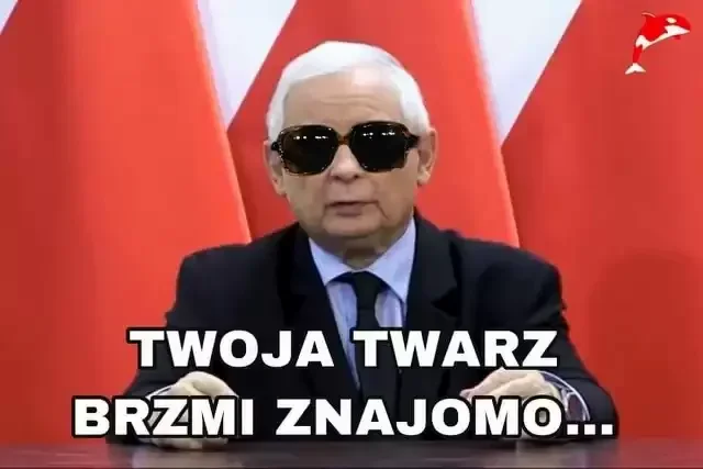 Jarosław Kaczyński "królem memów". Internauci są bezlitośni dla lidera PiS po słowach "o dawaniu w szyję przez młode kobiety" [MEMY] - Zdjęcie główne