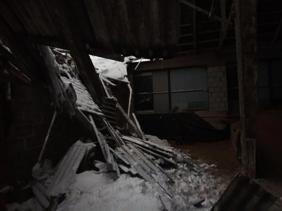 W Zofianie w gminie Kamionka zawalił się dach obory. W środku było bydło - Zdjęcie główne