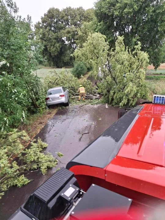 Ulewa przeszła przez powiat łukowski. Na Audi spadło drzewo