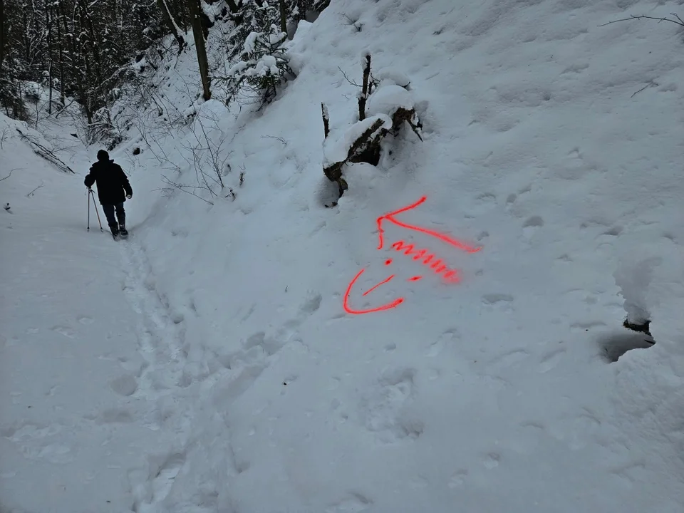 Co to za znaki koło Szczebrzeszyna? - Zdjęcie główne