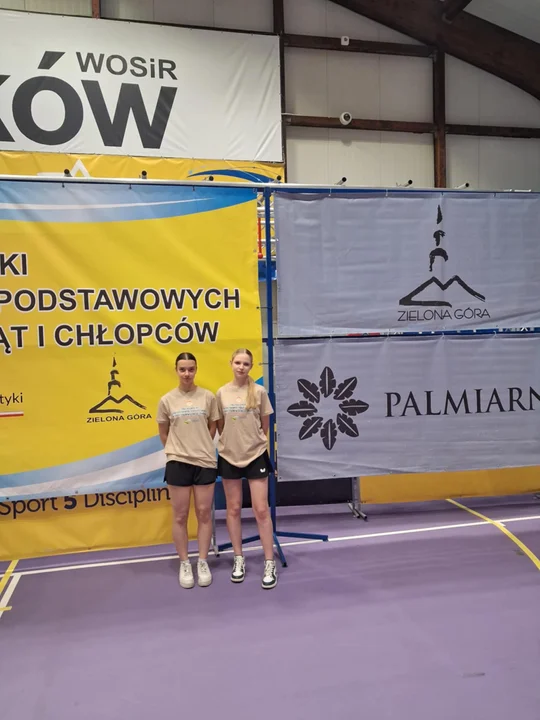 Tenis stołowy II LO w Lubartowie