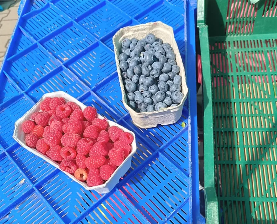 Na targu pojawiły się borówki - Zdjęcie główne
