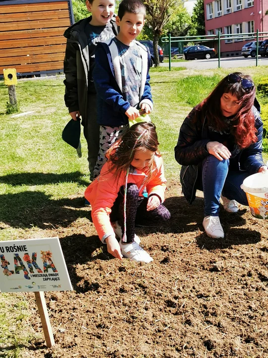 Lublin: Przy szkołach rozkwitają łąki. To projekt z Budżetu Obywatelskiego