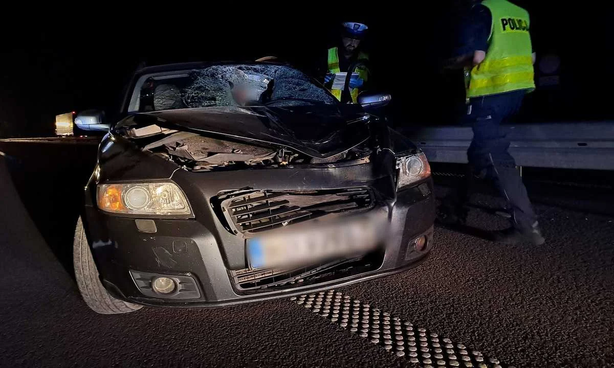 Śmiertelny wypadek na ekspresówce. Zginął pieszy z powiatu lubelskiego - Zdjęcie główne