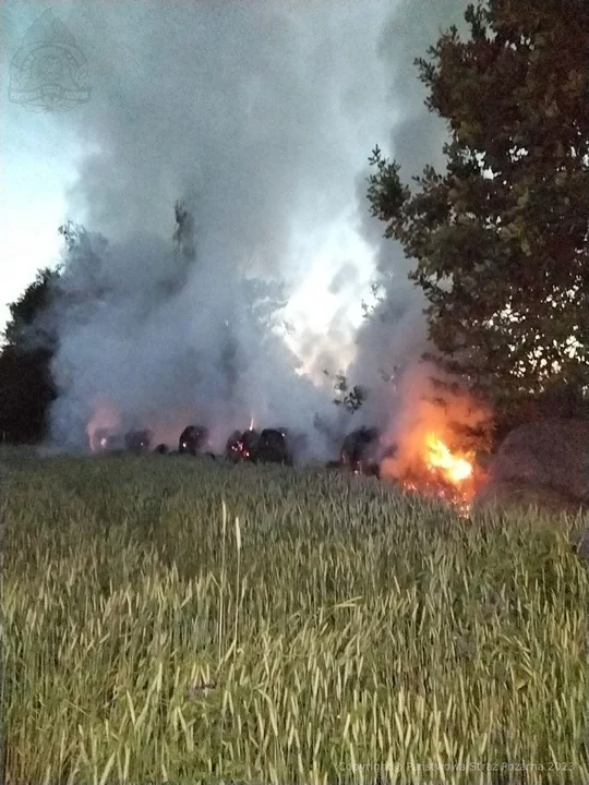 Powiat radzyński: Na polu paliły się bele słomy. Ogień gasiło kilka zastępów straży pożarnej