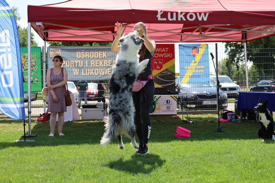 "Bądźmy Razem". Piknik dla osób niepełnosprawnych