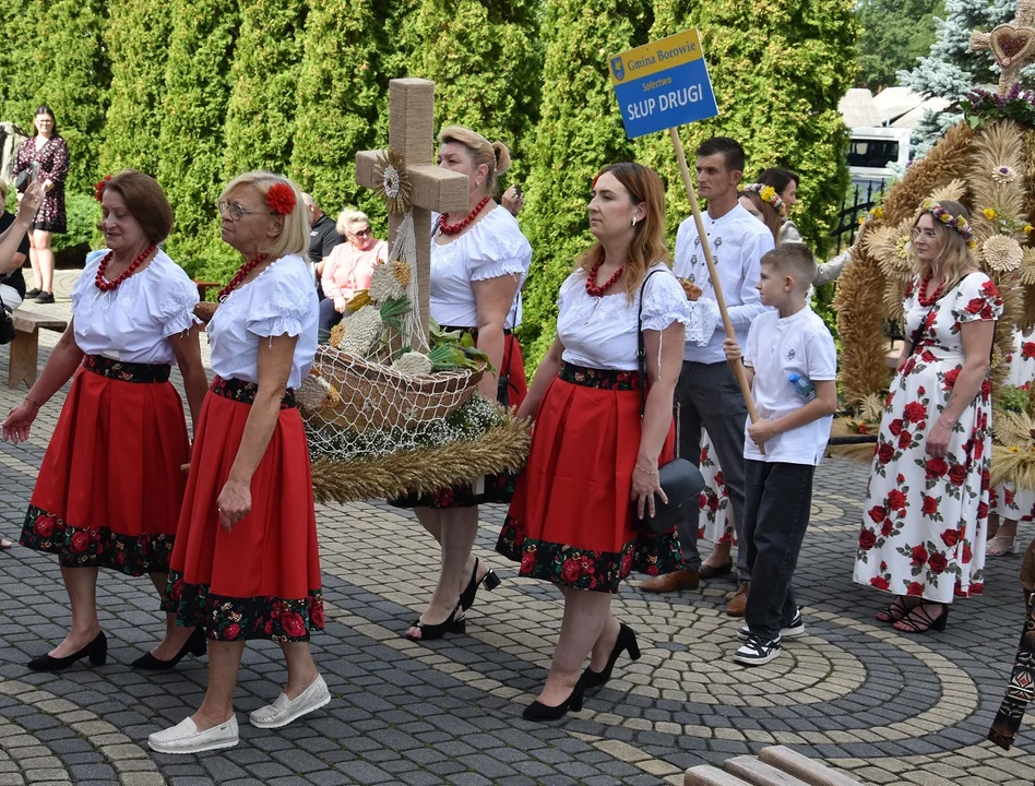 Borowie: Wyjątkowy dzień pełen tradycji, muzyki, występów artystycznych i wspólnej zabawy [Zdjęcia Cz. 1] - Zdjęcie główne