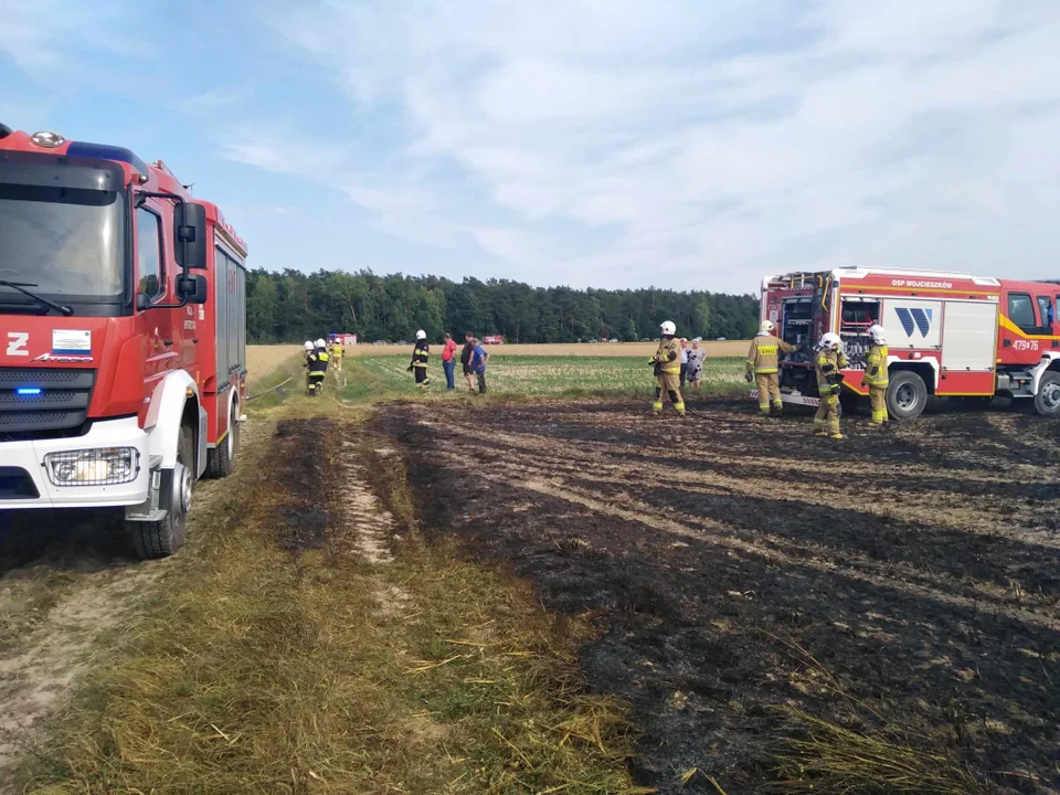 Płonęło zboże na polu. Do akcji ruszyło 7 zastępów strażaków i rolnicy - Zdjęcie główne