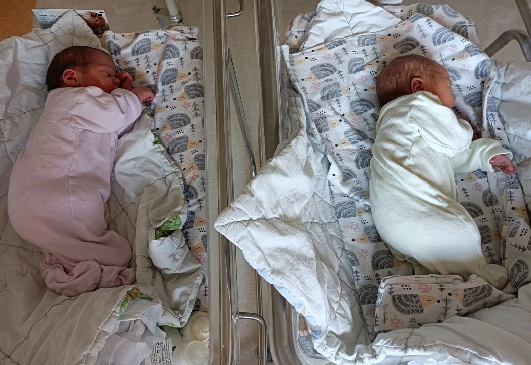 Maluszki urodzone w naszym szpitalu - Zdjęcie główne