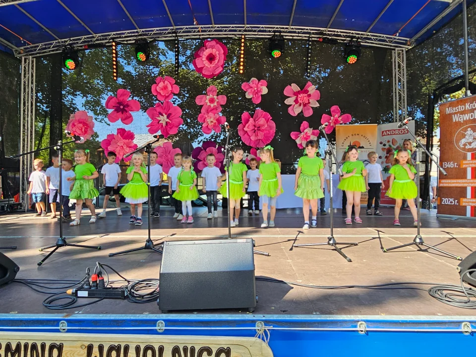 Dni Wąwolnicy - II Dzień (galeria)