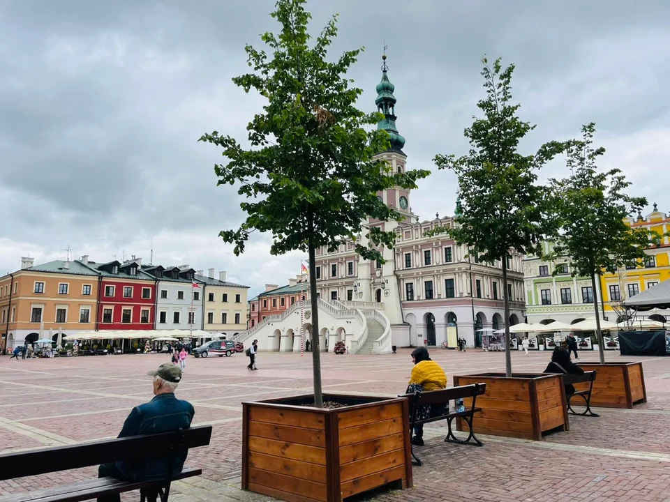 Lipa Zamość
