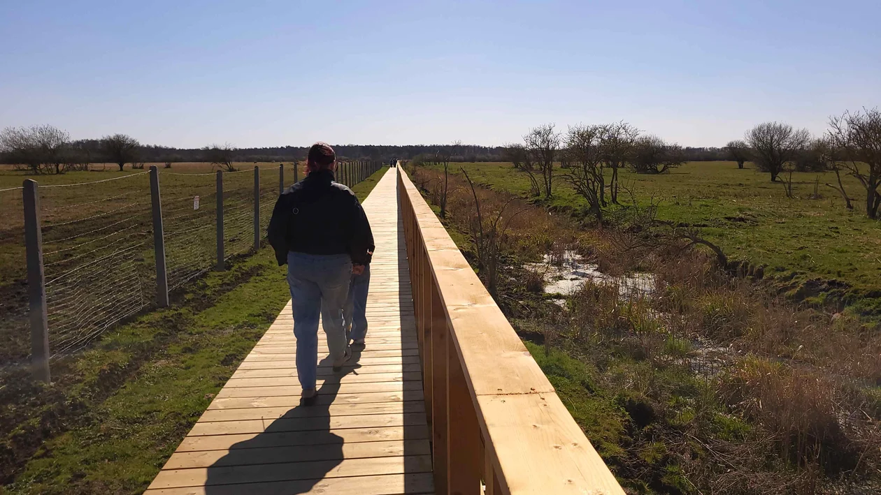 Łęczyńskie Błota chętnie odwiedzane przez turystów w Wielkanoc