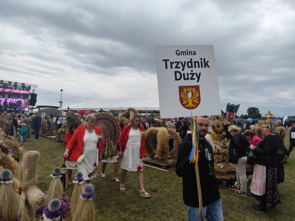 Dożynki Wojewódzkie w Świdniku. Wielkie święto plonów i tradycji [ZDJĘCIA CZ. 2]