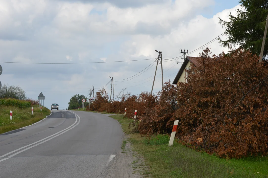 Rozpoczęła się przebudowa drogi wojewózkiej 833