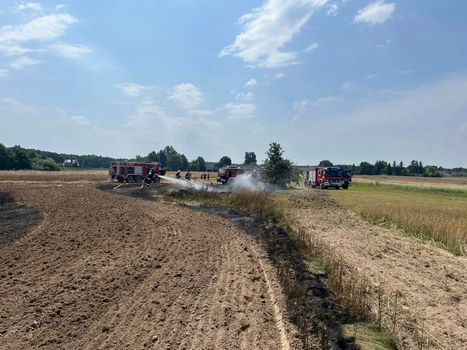 Pożar zboża na pniu oraz zarośli w Gułowie. Strażakom ugasić ogień pomogli rolnicy - Zdjęcie główne