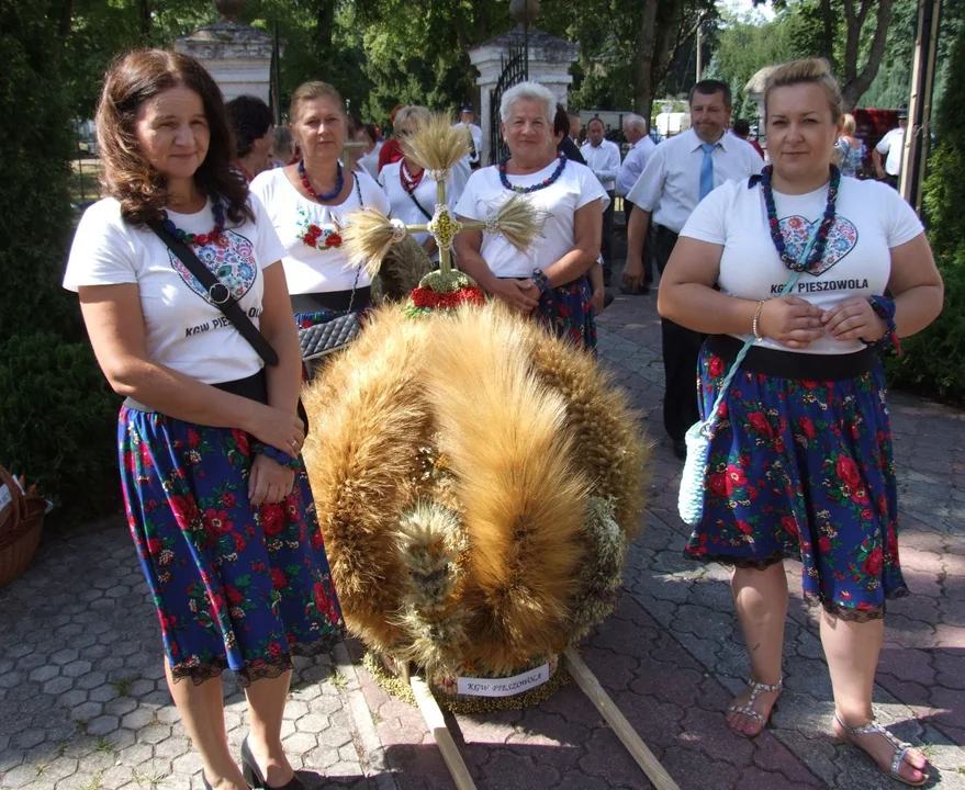 Powiat parczewski: mieszkańcy jednej z gmin bawili się na dożynkach (ZDJĘCIA) - Zdjęcie główne