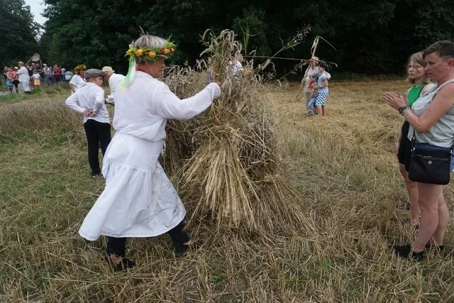 Żniwa w Bronicach