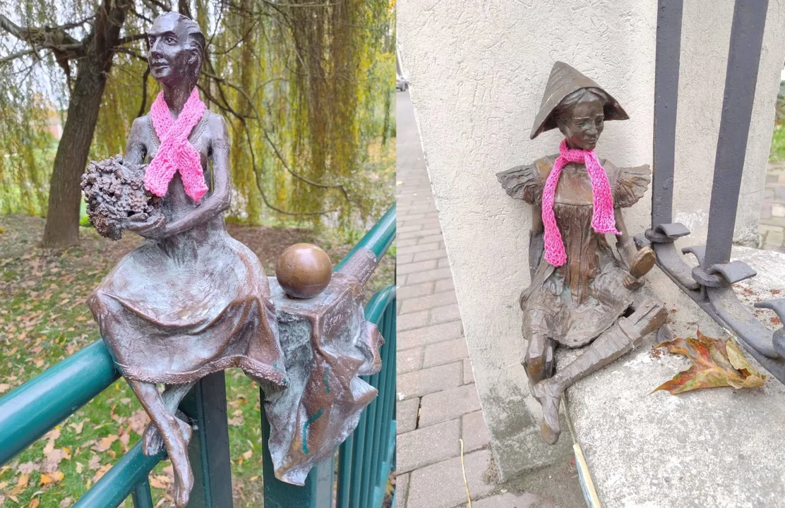 Zamość w różowej odsłonie (foto) - Zdjęcie główne