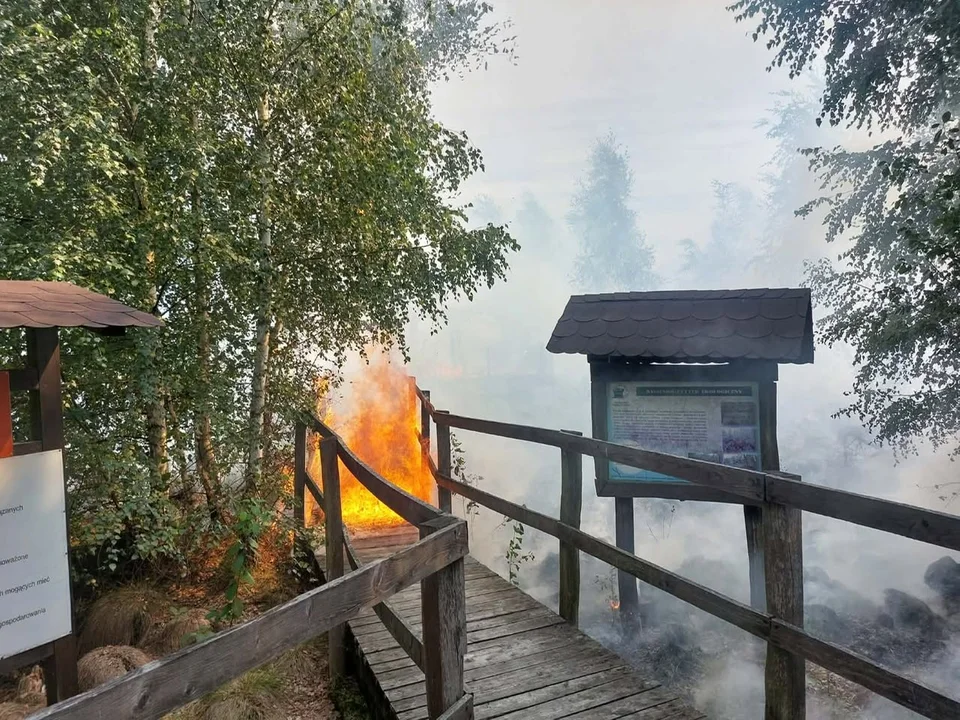 Groźny pożar w powiecie parczewskim. Pół hektara lasu i wieża widokowa płomieniach