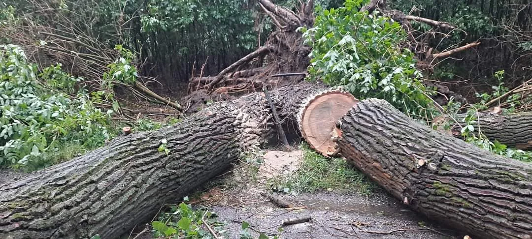 Ulewa w powiecie łukowskim