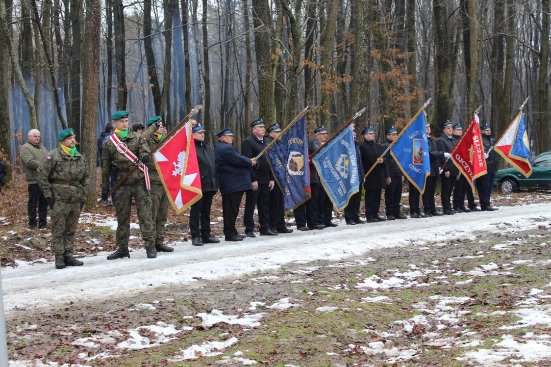 Miączyn - Powstanie Styczniowe