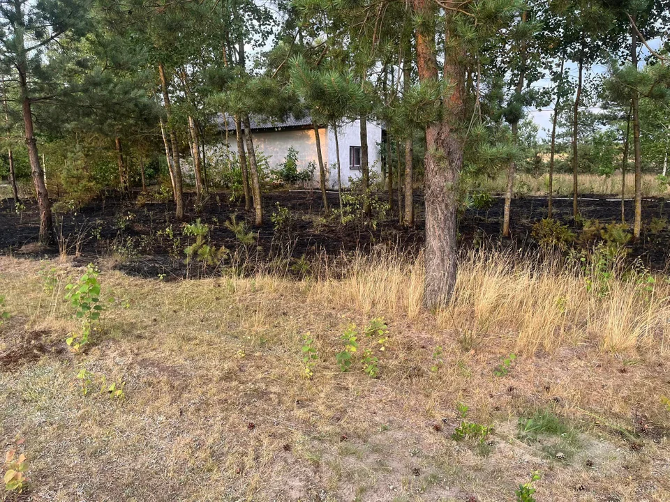 pożar traw GRĘZÓWKA