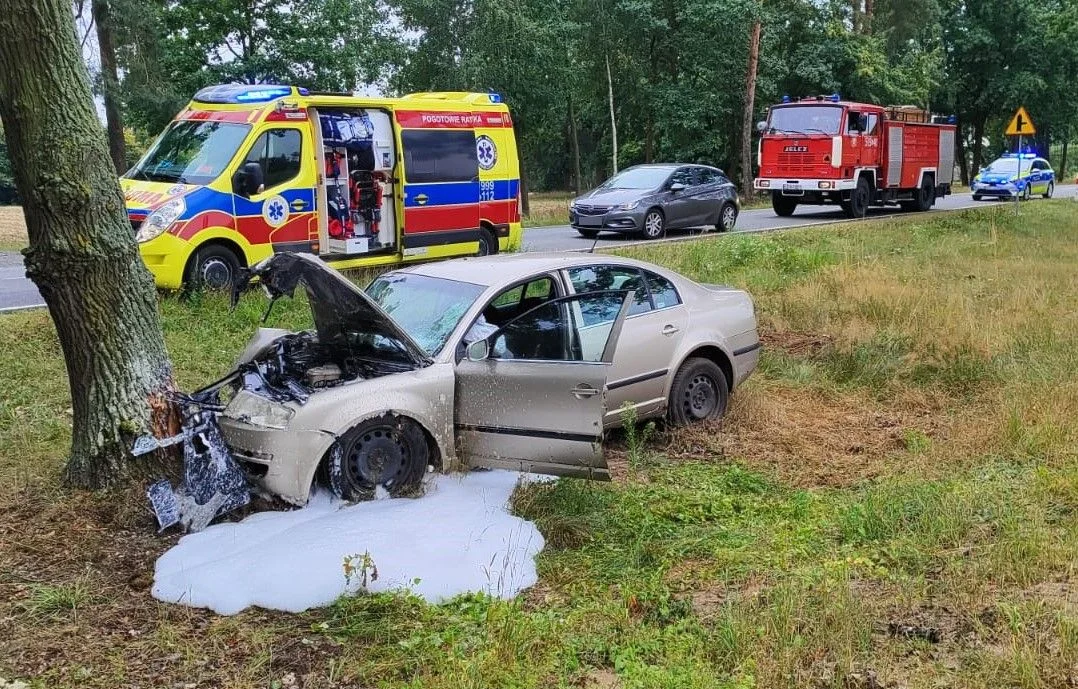 Powiat radzyński: Śmiertelny wypadek w Stasinowie. Nowe informacje - Zdjęcie główne