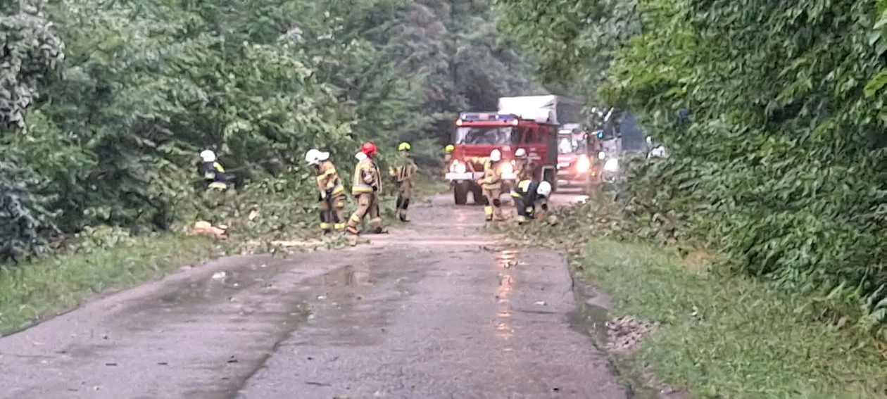 Strażacy z Charlejowa usuwali powalone drzewa