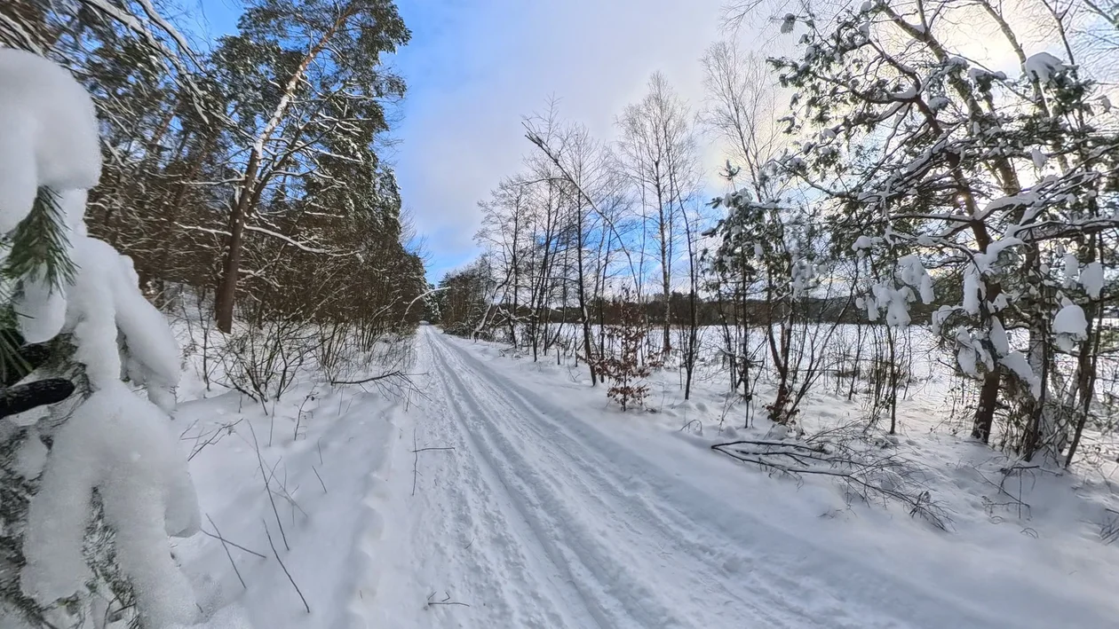 To zimowa stolica Roztocza? Ludzie walą drzwiami i oknami (foto) - Zdjęcie główne