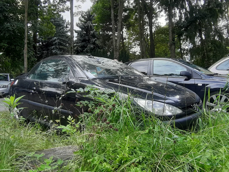 Porzucone samochody wkomponowane w miejską architekturę. Jak pozbyć się wraków zalegających na lubelskich parkingach?