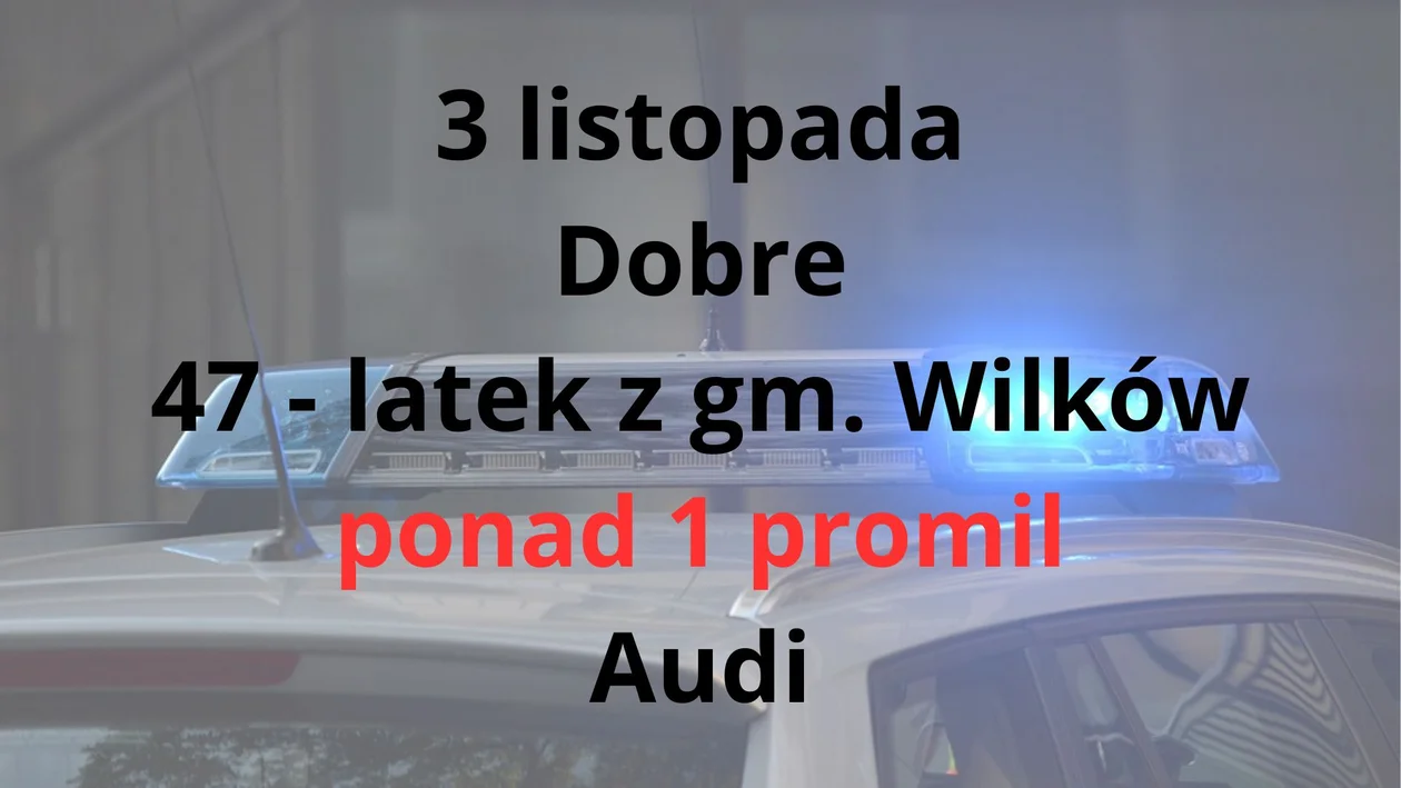 Powiat opolski: Nietrzeźwi kierowcy - listopad 2023 r.