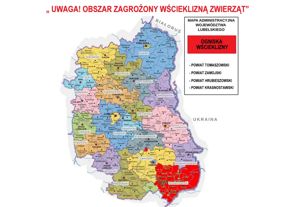 Tyle przypadków wścieklizny nie było od wielu lat.