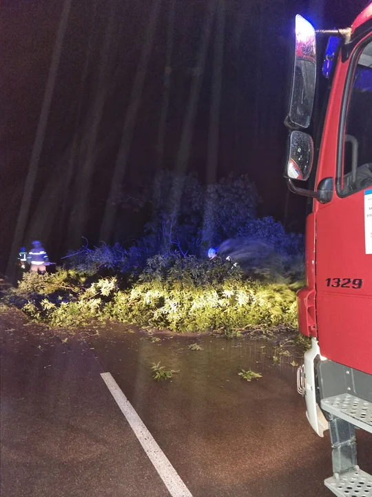 Wyjazd do powalonego drzewa na trasie Adamów - Konorzatka