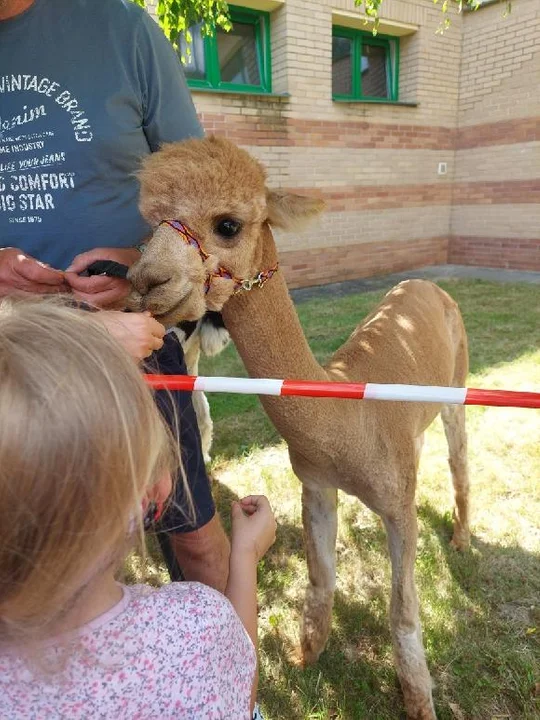Dzień Dziecka w SP 6 w Puławach