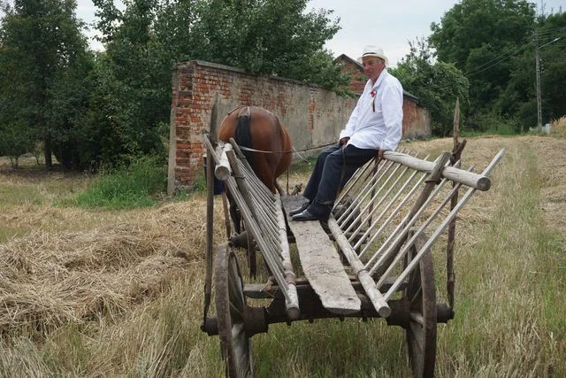 Żniwa w Bronicach