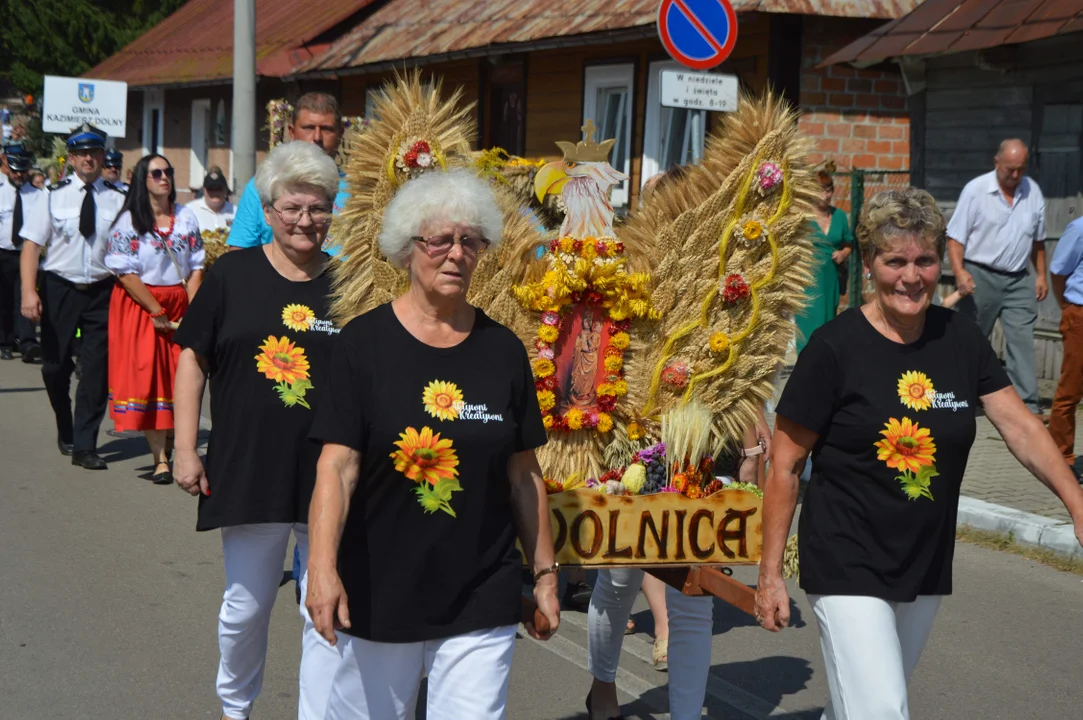 Dożynki powiatowe 2024 w Wąwolnicy