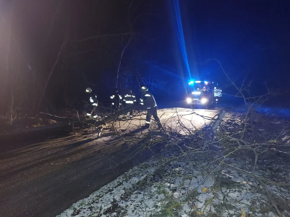 Gałęzie drzewa niebezpiecznie wisiały nad drogą w gminie Wola Mysłowska. Nocna interwencja OSP Ksawerynów - Zdjęcie główne